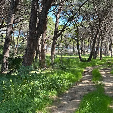 Sa Petra Ruja - 2-minute Walk To The Sea Apartment *